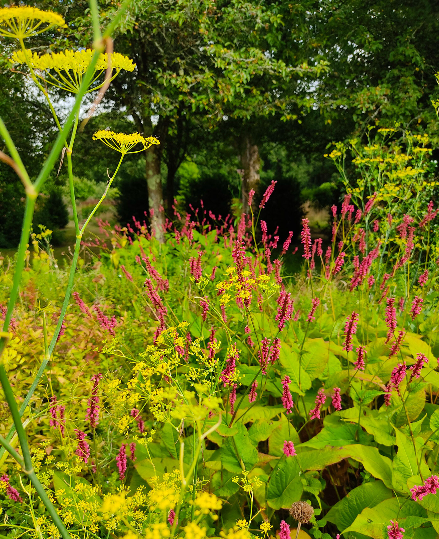 Jardin Ornemental
