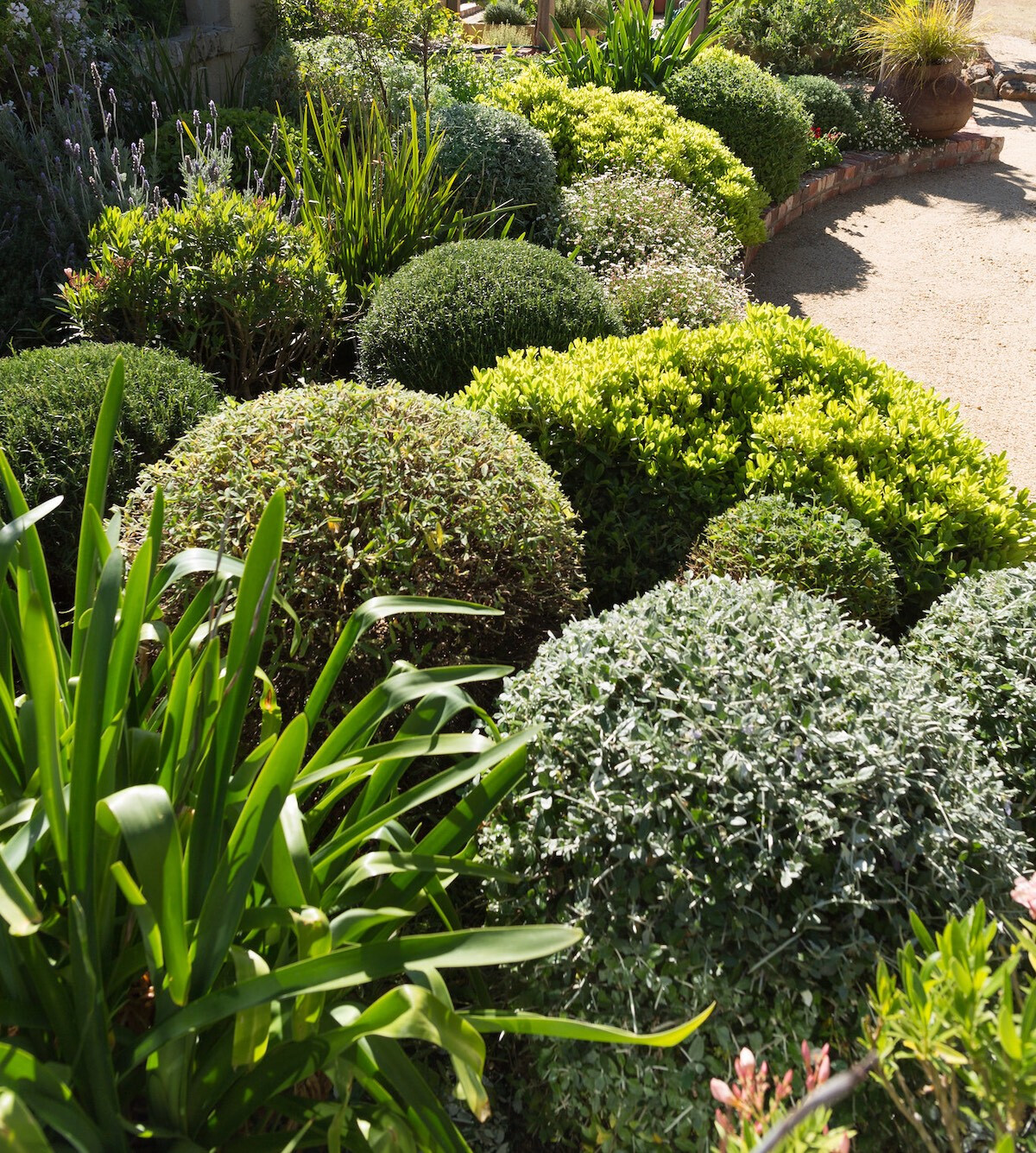 Jardin Ornemental