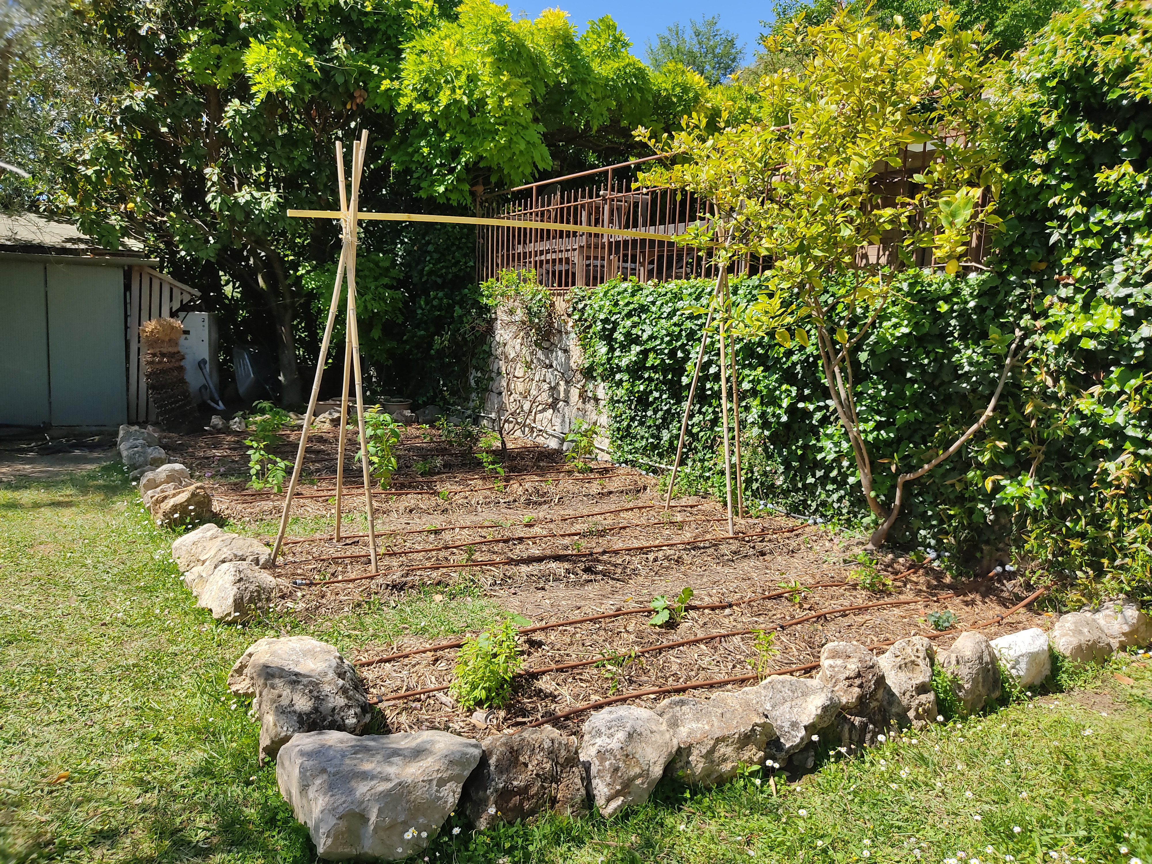Jardin Potager
