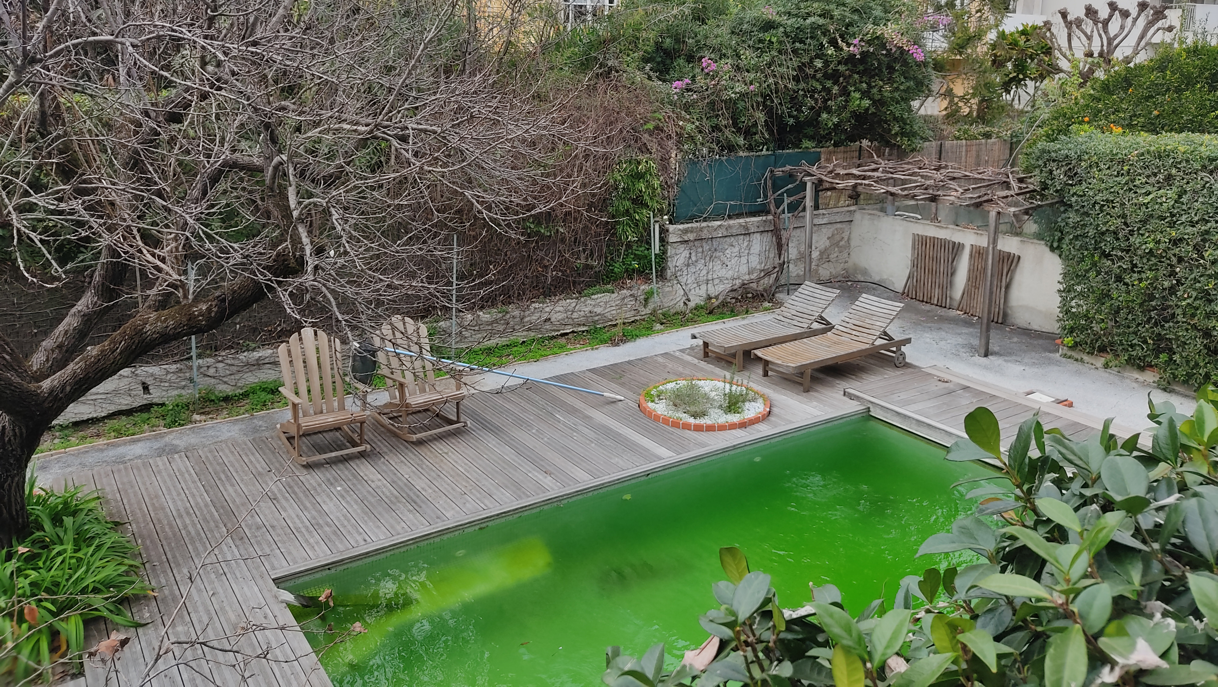 Avant projet paysager - Rénovation d'un jardin niçois